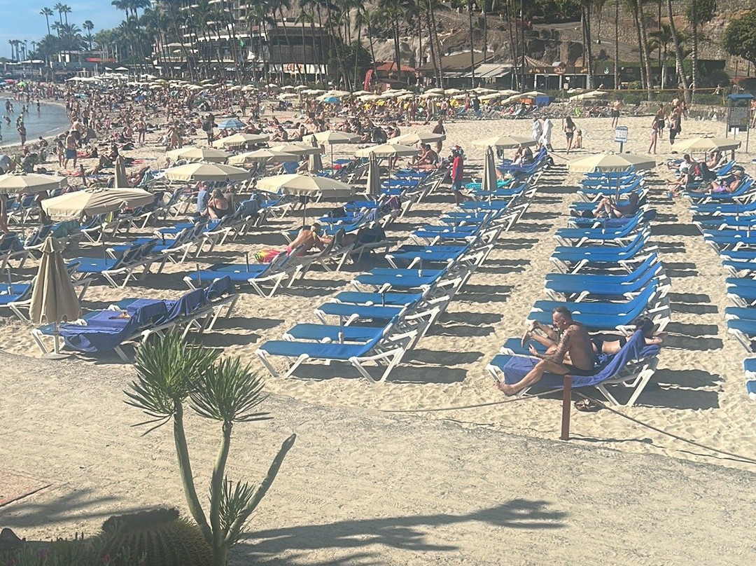 Playa Anfi del Mar-Barranco de la Verga必去景点