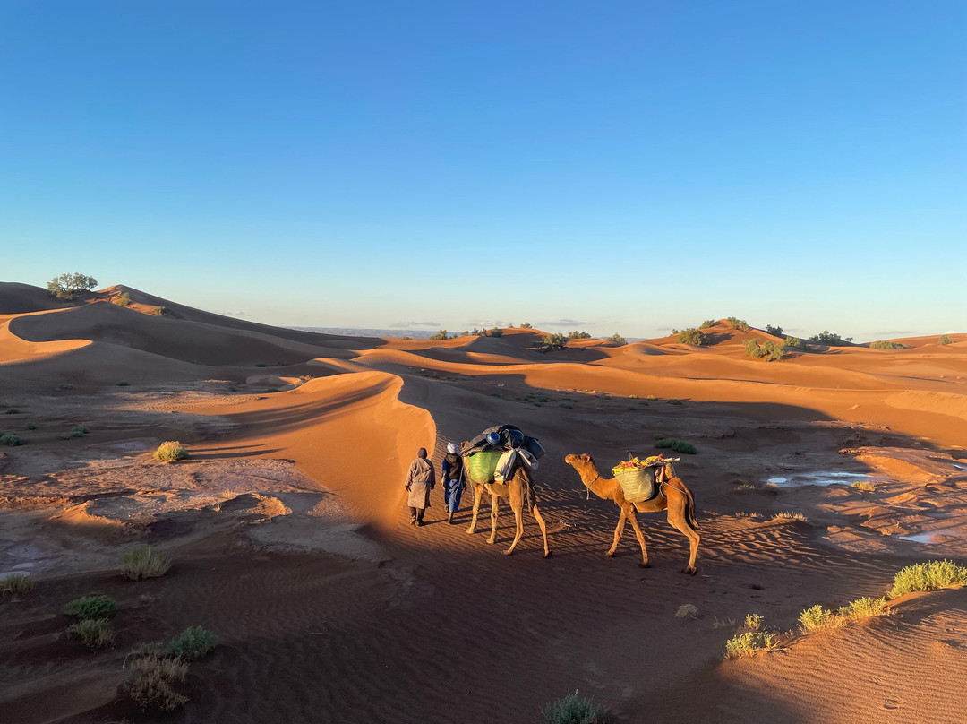My Sahara Trek-迈哈米德必去景点