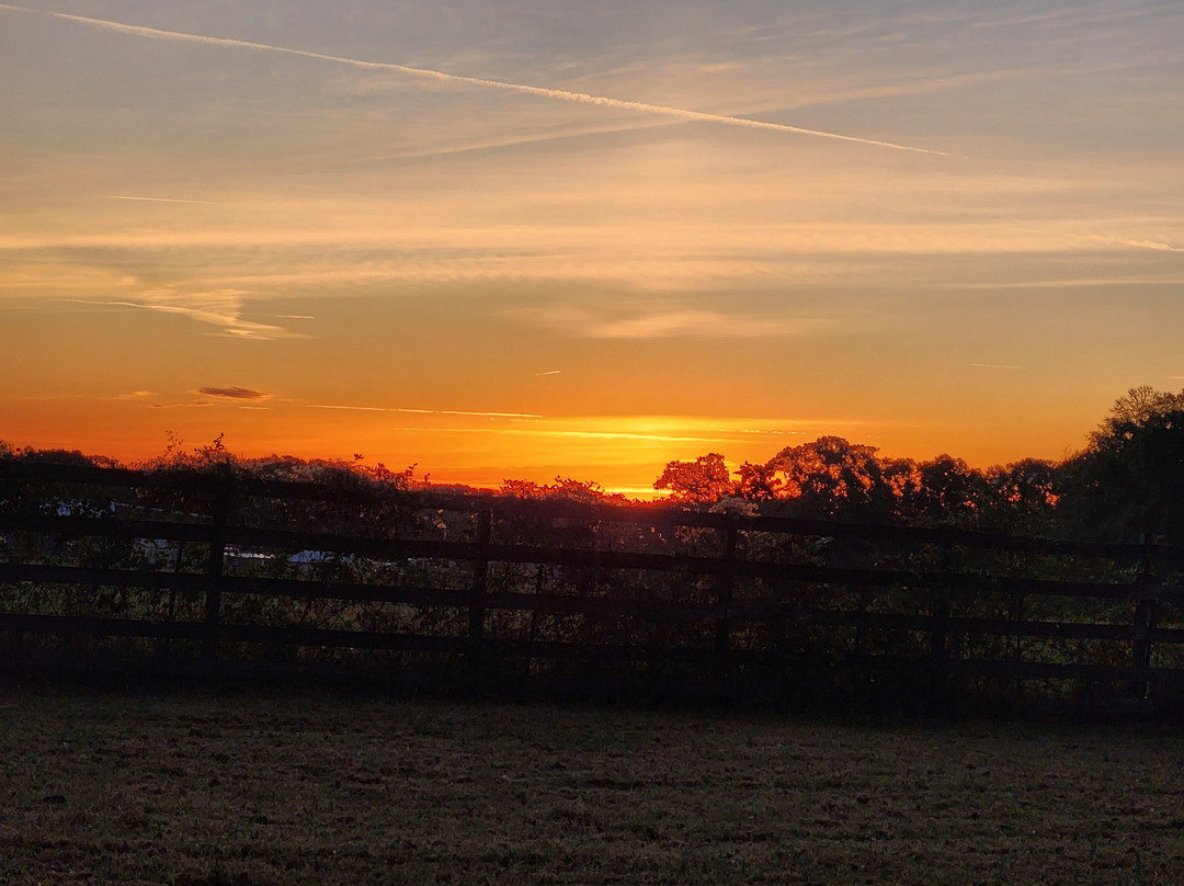 Belton Bed And Breakfast主图