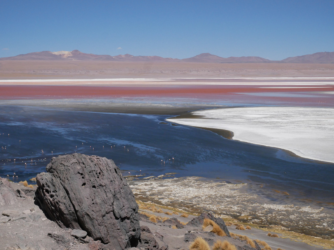 Laguna Colorada-乌尤尼必去景点