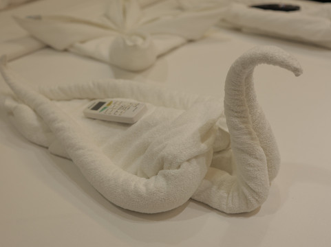 Dhartii River View Resort