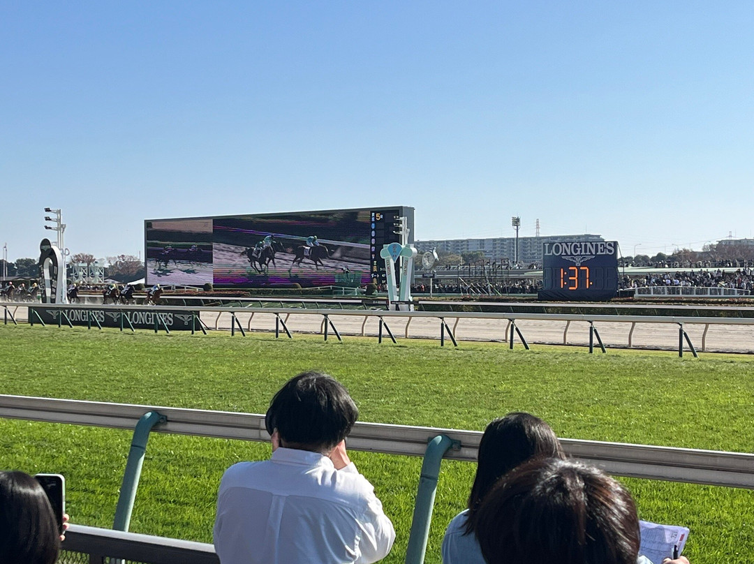 Tokyo Racecourse-府中市必去景点