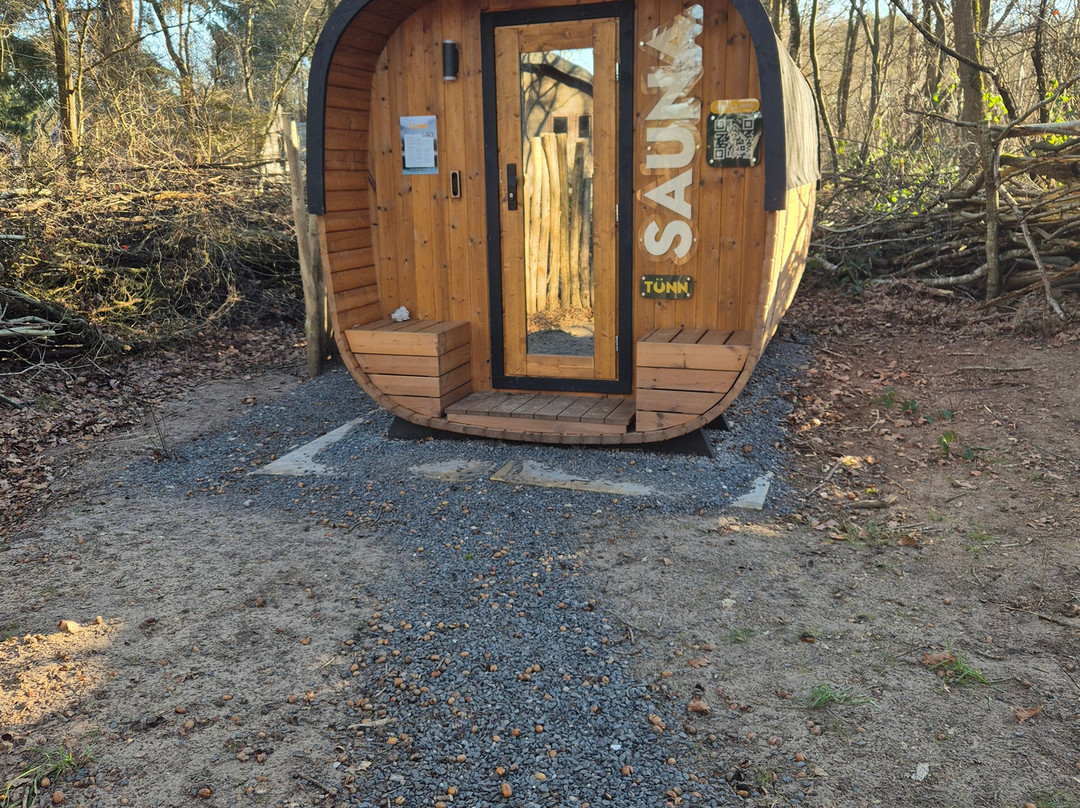 Tünn Sauna - Europarcs Ruinen