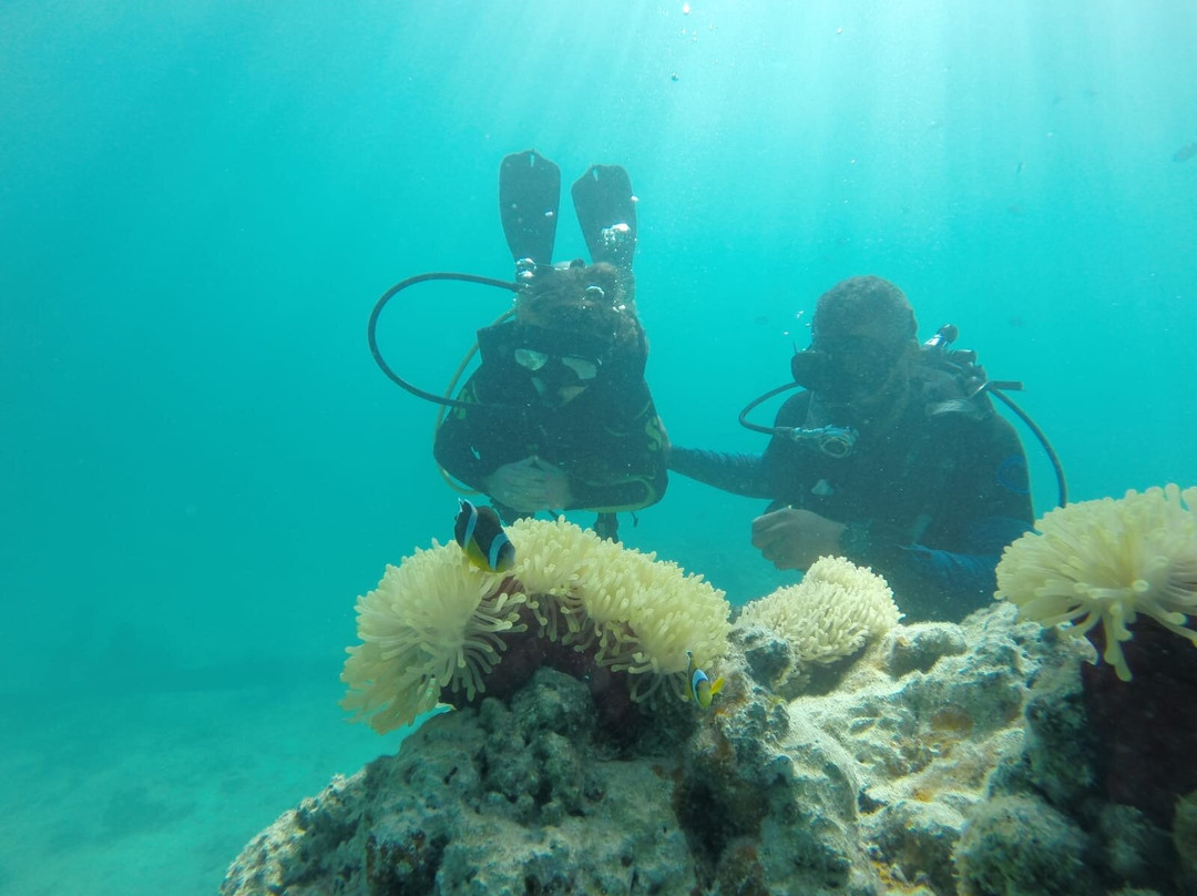 Scuba World Diving Mauritius-马喜埔必去景点