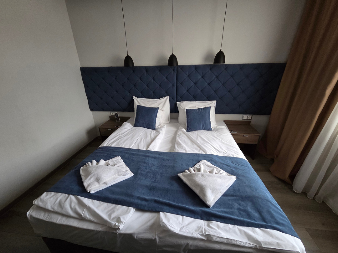 帕拉缇诺斯酒店主图