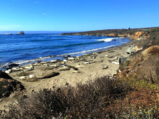 Highway 1 Road Trip-圣路易斯-奥比斯波必去景点