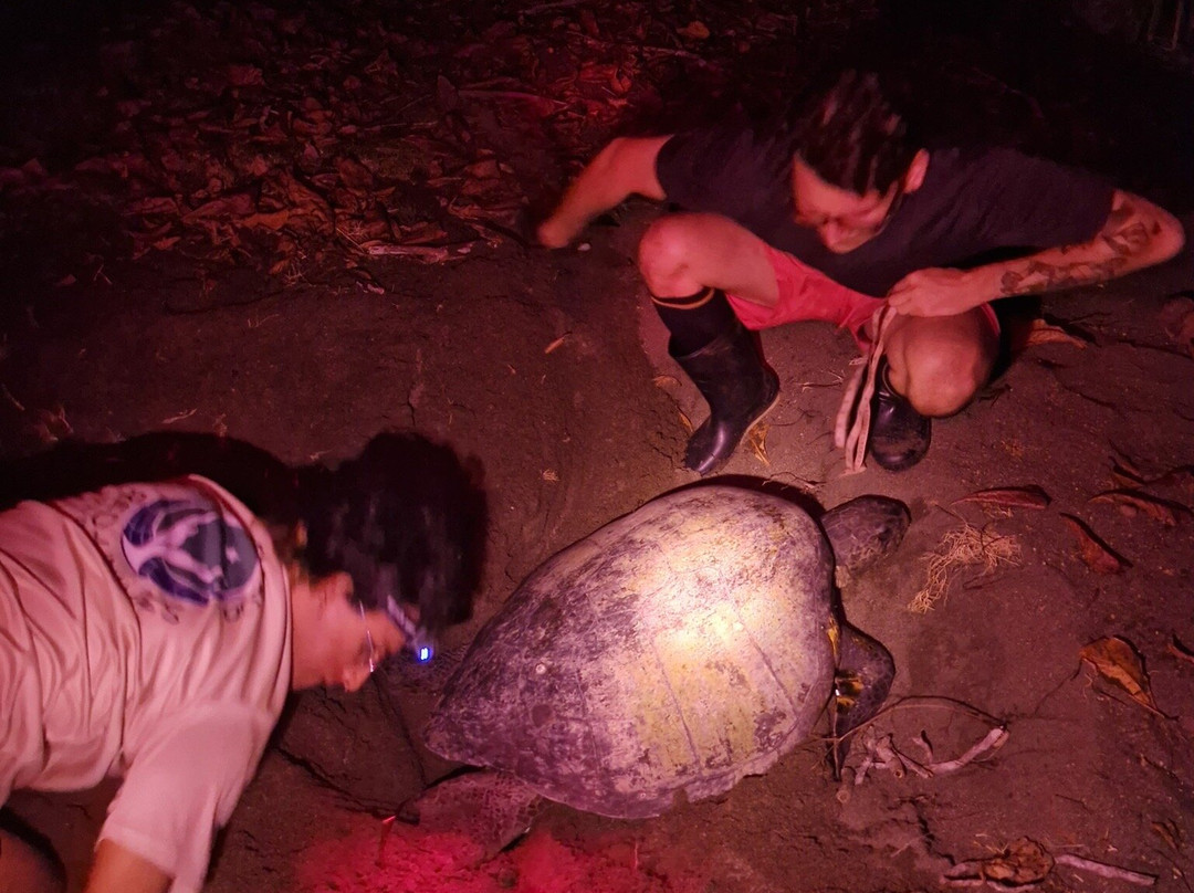 Osa Conservation Campus-希门尼斯港必去景点