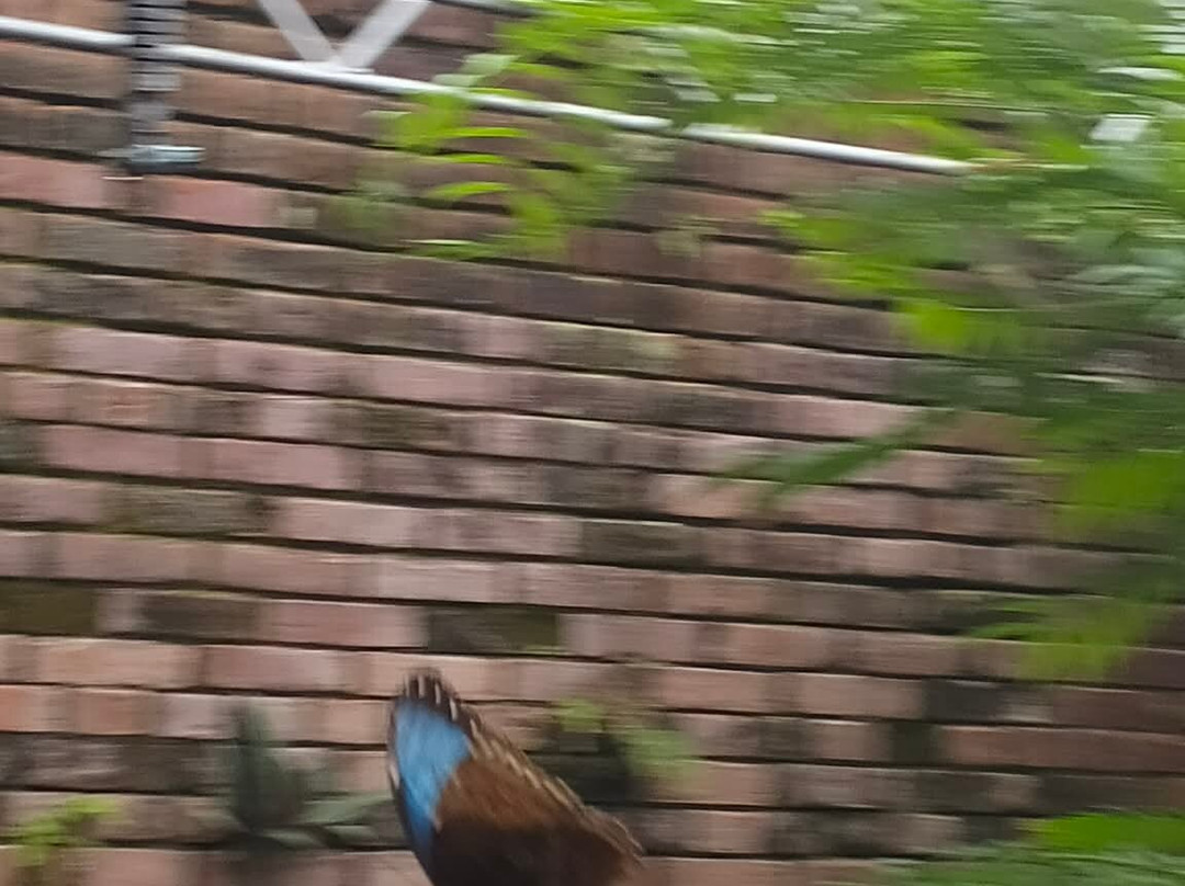 National Museum Of Costa Rica-圣何塞必去景点