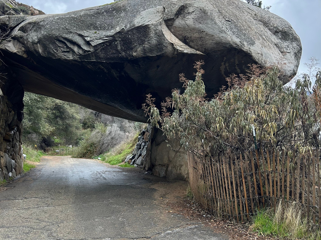 Sequoia National Park-维塞利亚必去景点