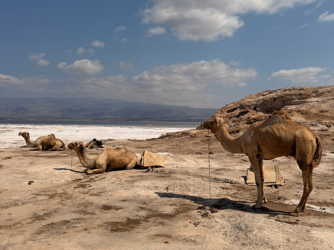 Trip2Djib-吉布地必去景点