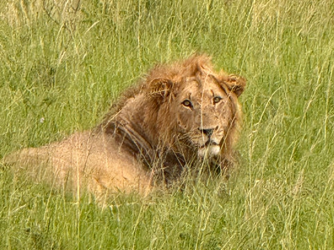One More Adventure Safaris-坎帕拉必去景点
