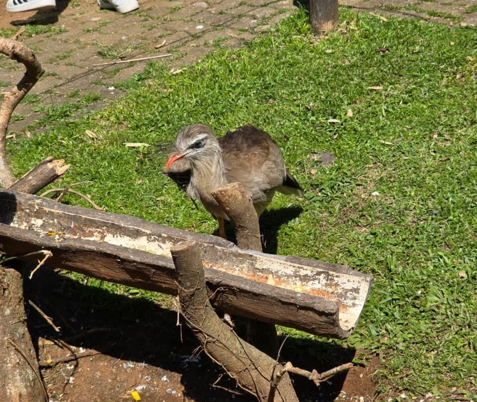 Gramadozoo-格拉玛多必去景点