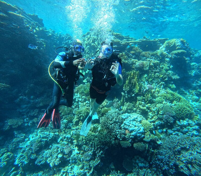 Pro Master Diving Club-赫尔格达必去景点