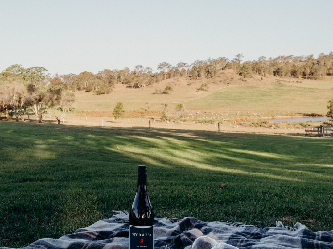 Bunnyconnellen-Crows Nest必去景点