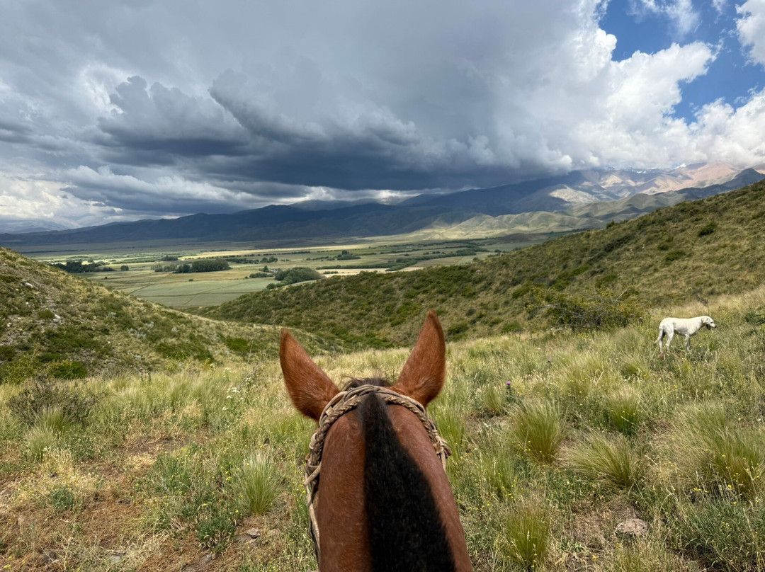 Vivacs Del Plata-Tupungato必去景点