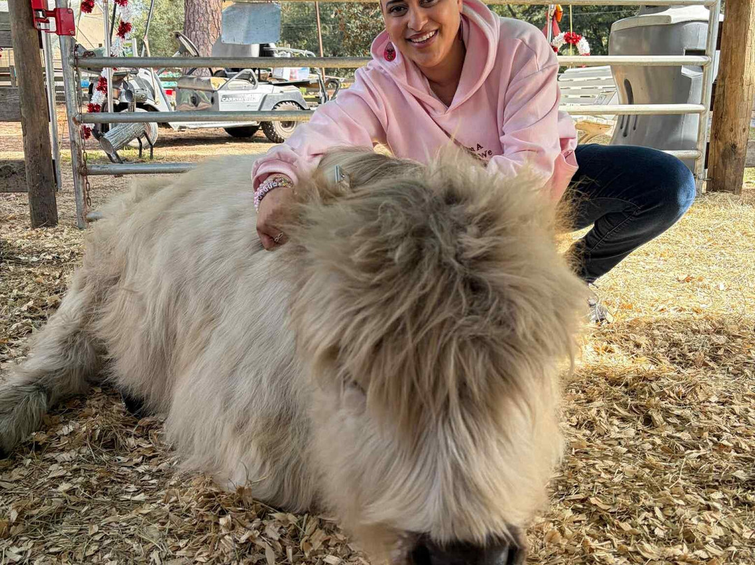 Rooterville Animal Sanctuary-Melrose必去景点