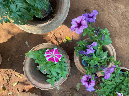 Svanir Wilderness Ecostay主图