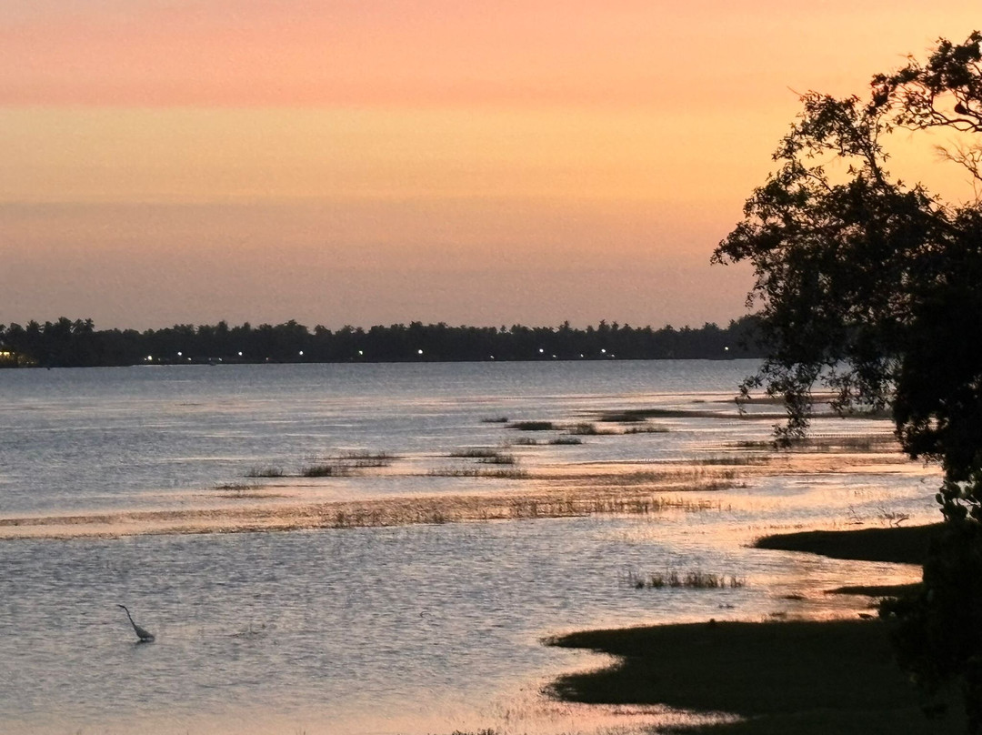 Tour with Jana-班达拉维拉必去景点