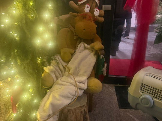 Charm Boutique Hotel主图