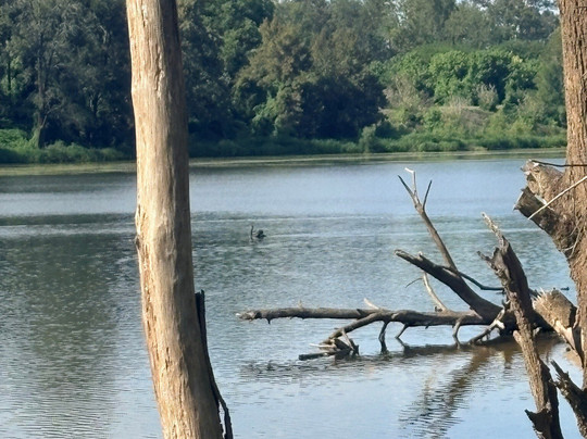Yarramundi Reseve-Yarramundi必去景点