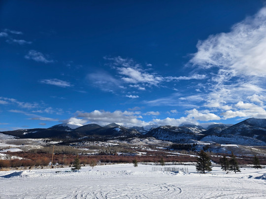 The Grasshopper Inn主图