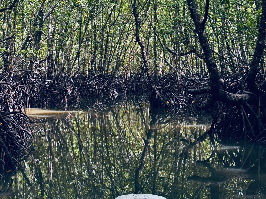 Russian Guide in Langkawi-兰卡威必去景点
