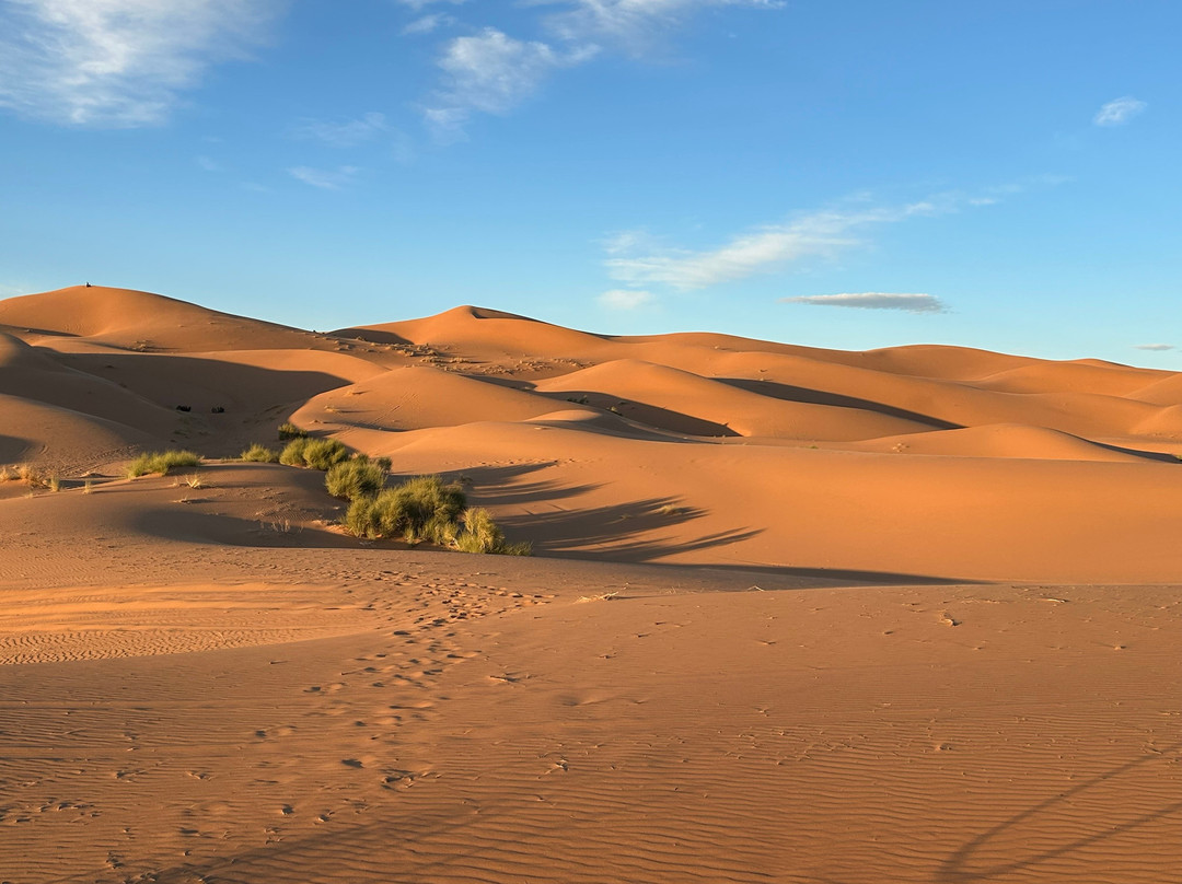 Marrakech Excursion-马拉喀什必去景点