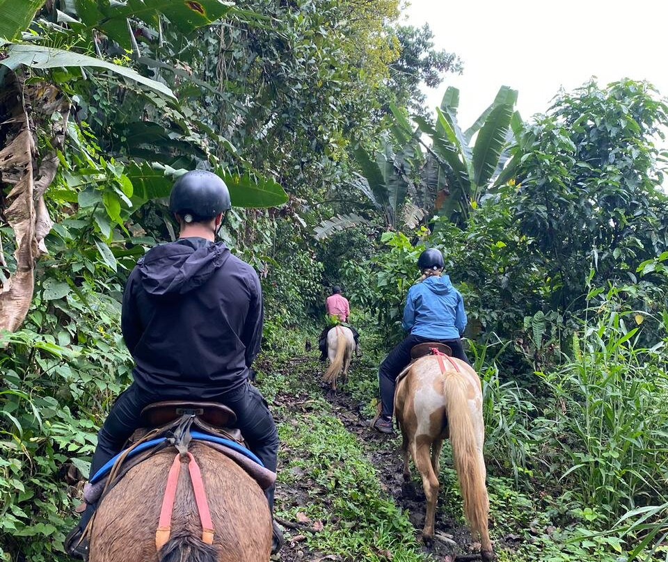 Hacienda Monte Claro-图里亚尔瓦必去景点