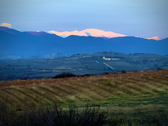 Aya Estate Vineyards