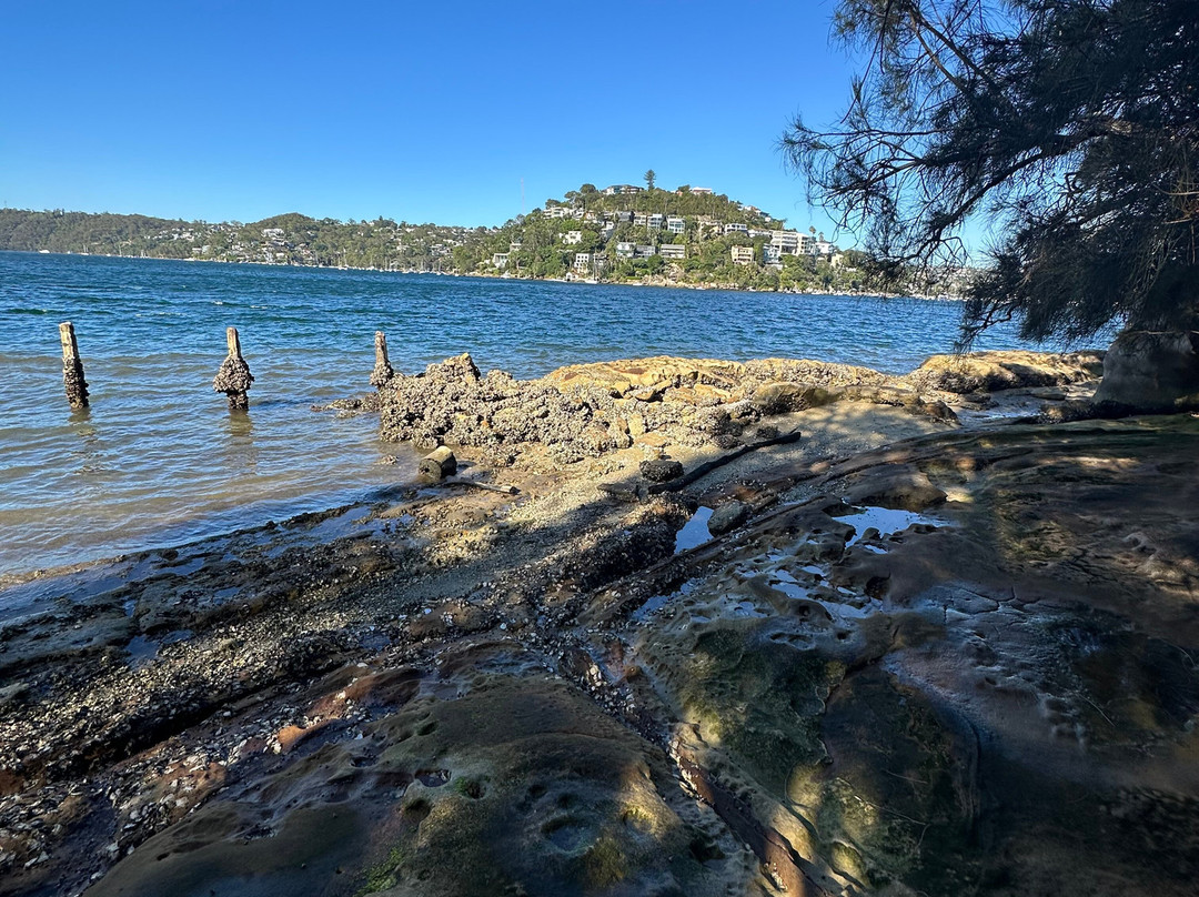 Clive Park-Northbridge必去景点