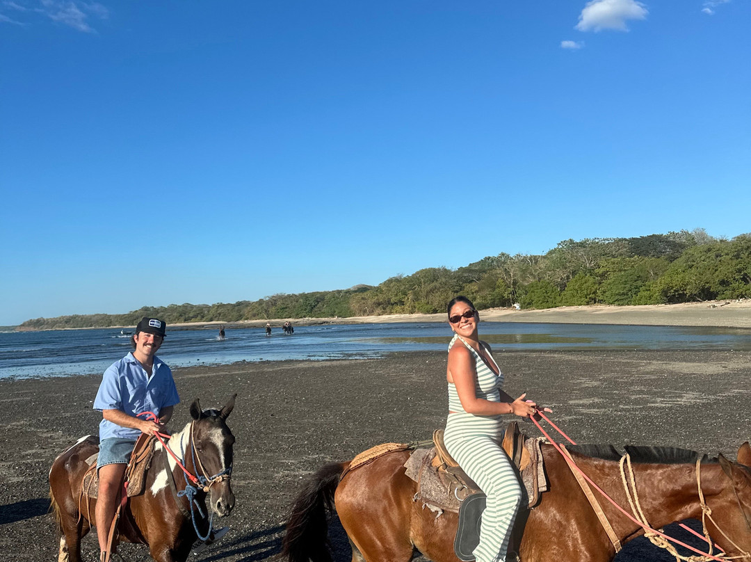 Guti Tours-Playa Avellanas必去景点