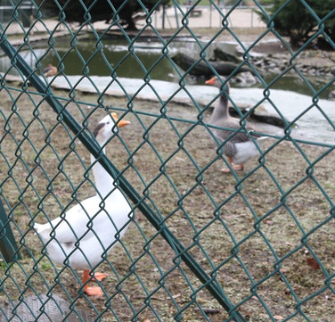 Parc Georges Nouelle
