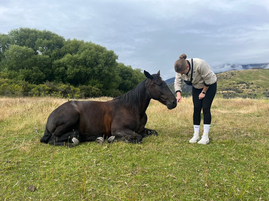 Wanaka Horse Trekking-瓦纳卡必去景点