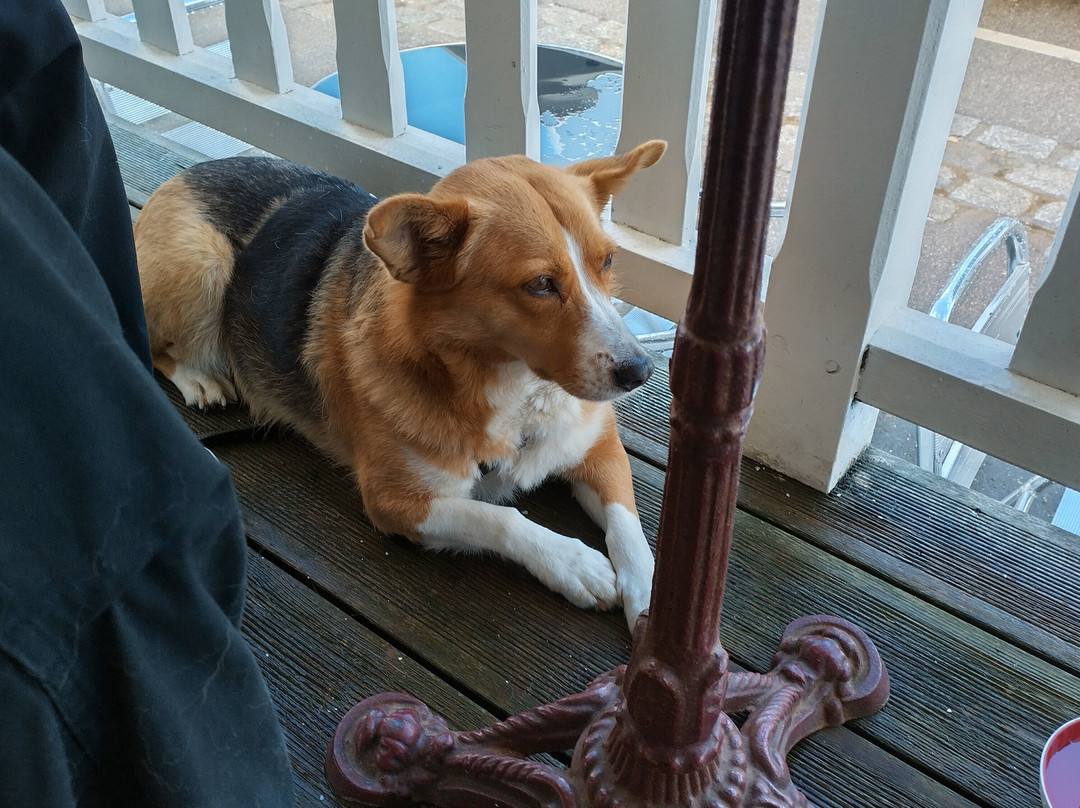 Étretat-埃特勒塔必去景点