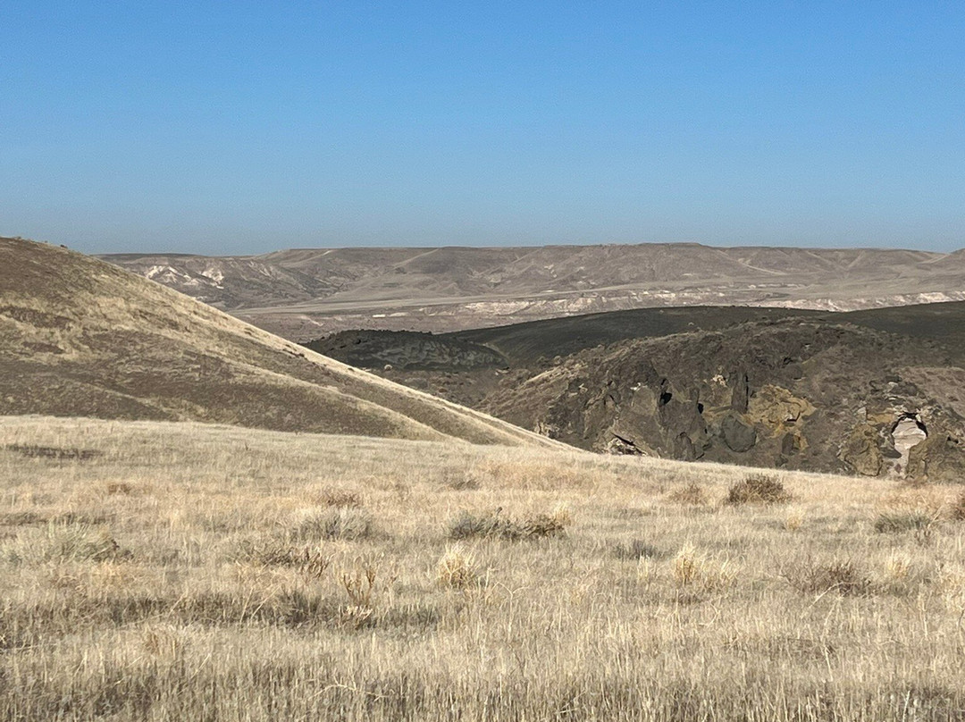 Bruneau Canyon-Bruneau必去景点