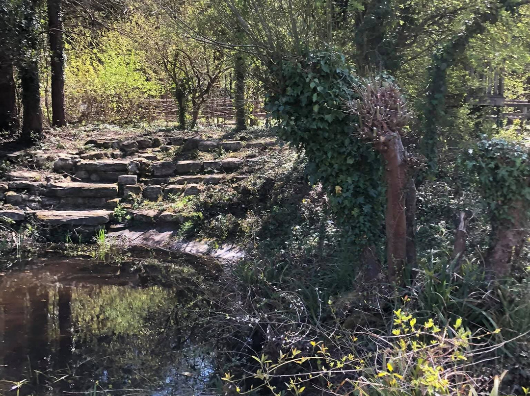 High Elms Country Park-布罗姆利必去景点