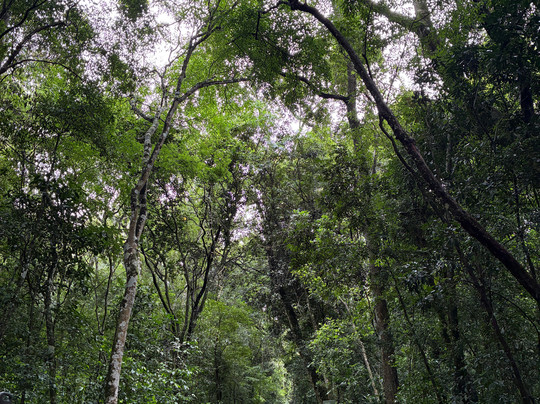 Iguassu bike tour-伊瓜苏必去景点