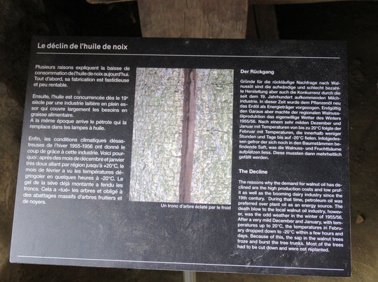 Musée d'Estavayer-le-Lac et ses Grenouilles-Estavayer-le-Lac必去景点