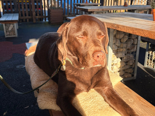 Dunstan House Inn (hotel)主图