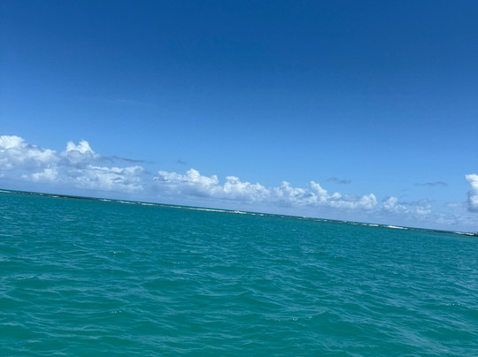 Piscinas Naturais De Japaratinga-Japaratinga必去景点