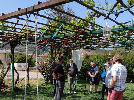 Ancient Greece Tours & Transfers-雅典必去景点