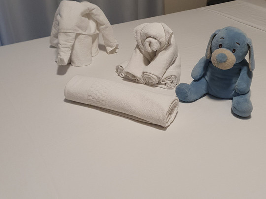 Ubatuba Praia Hotel主图