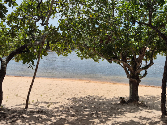 Cerrado Dourado Expedições-Jalapao State Park必去景点