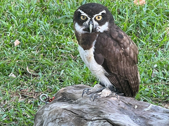 Zoo Parc De La Réunion-Etang Sale Les Bains必去景点