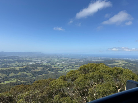 Illawarra Fly Treetop Walk-Knights Hill必去景点