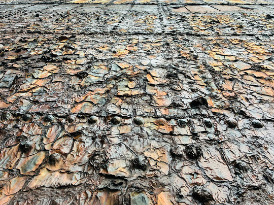 Titanic Distillers At Thompson Dock-贝尔法斯特必去景点