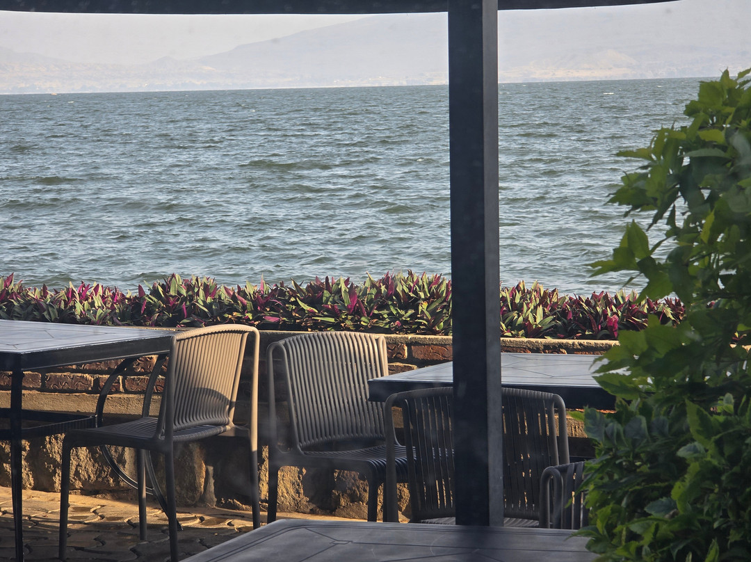 Lewi Hotels & Resorts主图