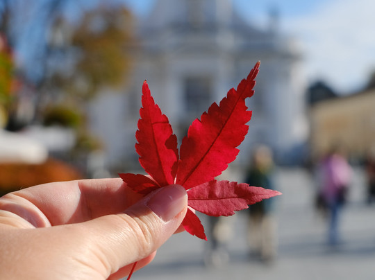John Paul II Square in Wadowice-Wadowice必去景点