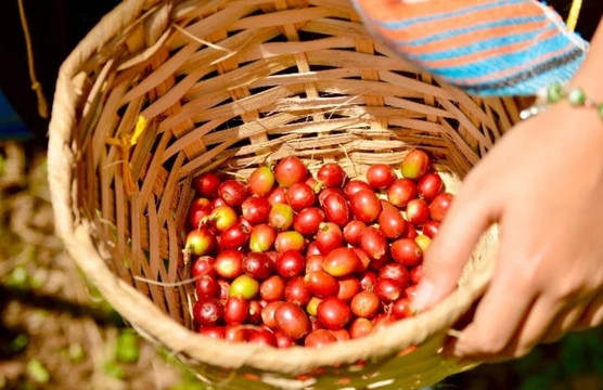 Jaramillo's Coffee-Marsella必去景点