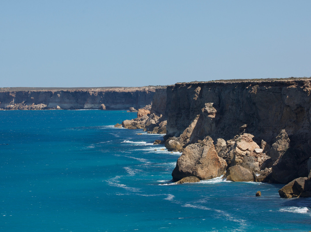 Head of Bight-Ceduna必去景点